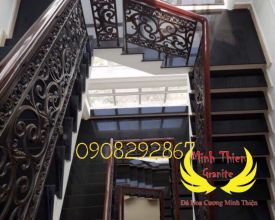 Đá Đen Ấn Độ G20