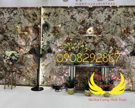 Đá Hoa Cương Ốp Tường